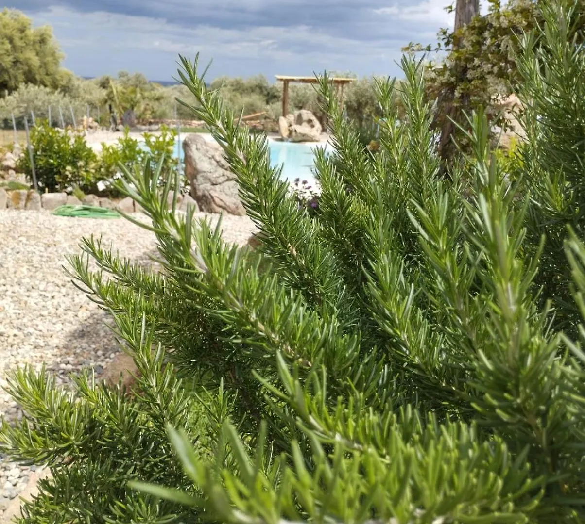 Cuccuru Relax - B Iun Q9882 Villa Orosei Holiday home
